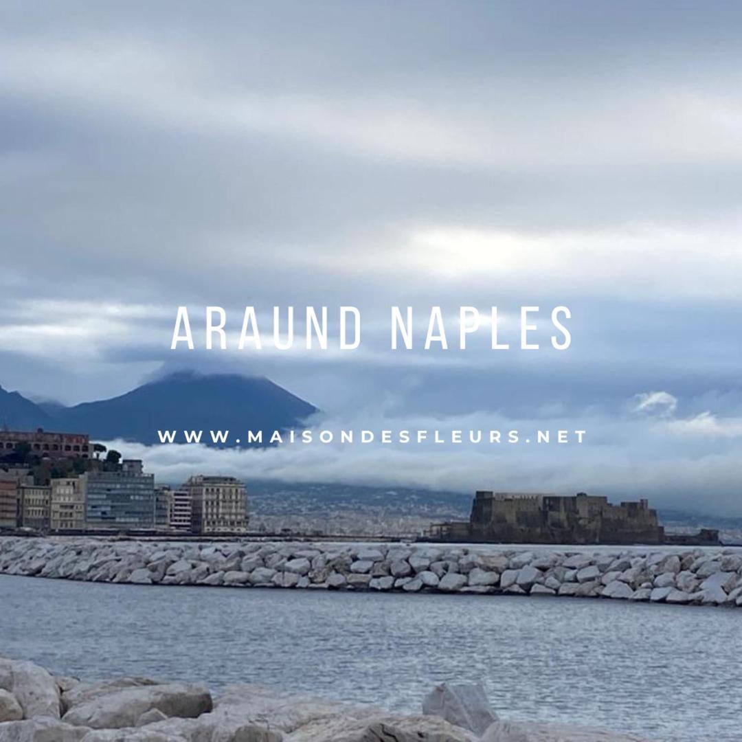 Maison Des Fleurs Napoli Dış mekan fotoğraf